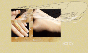 honey-postcard1